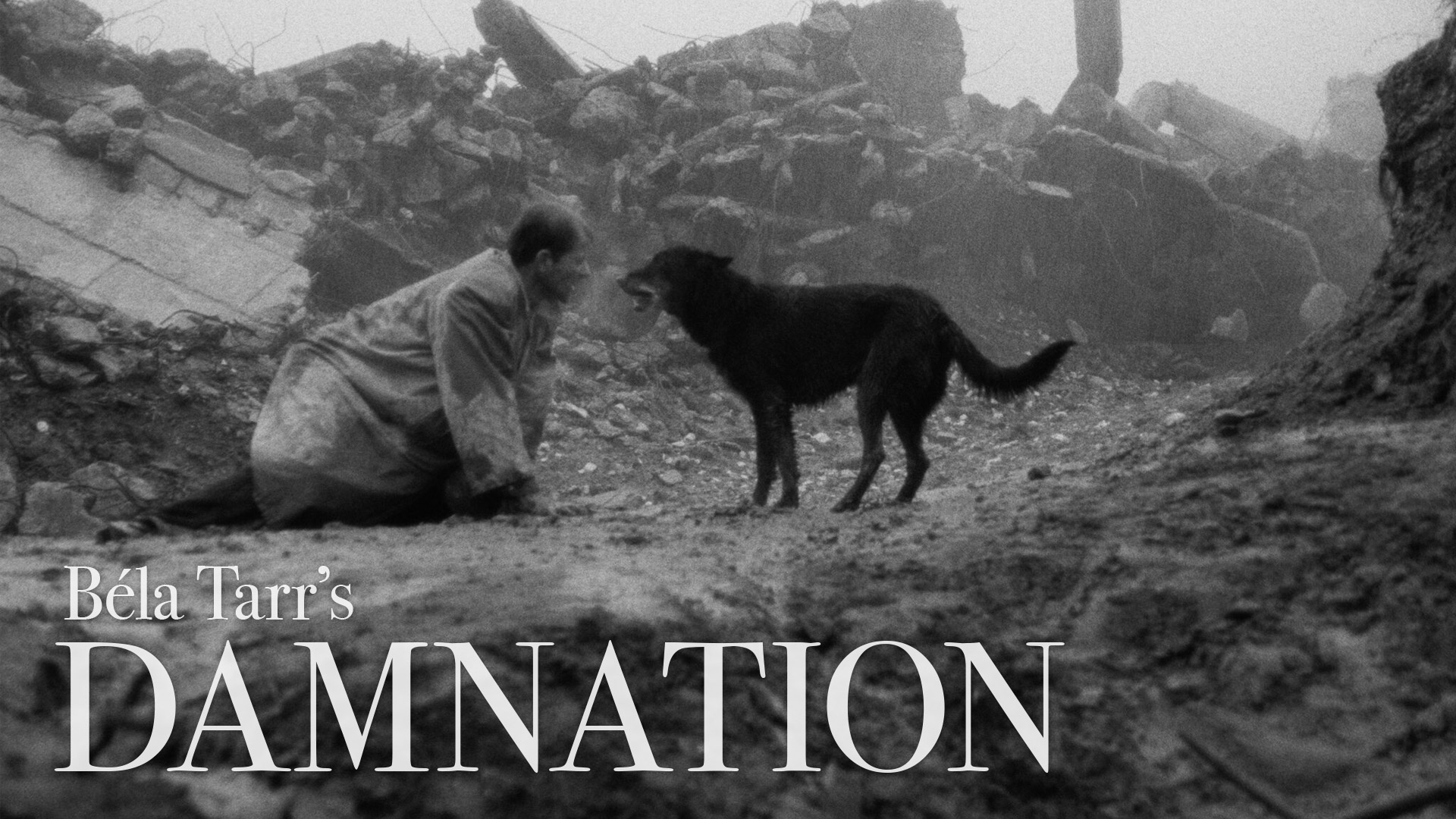 damnation-austin-film-society